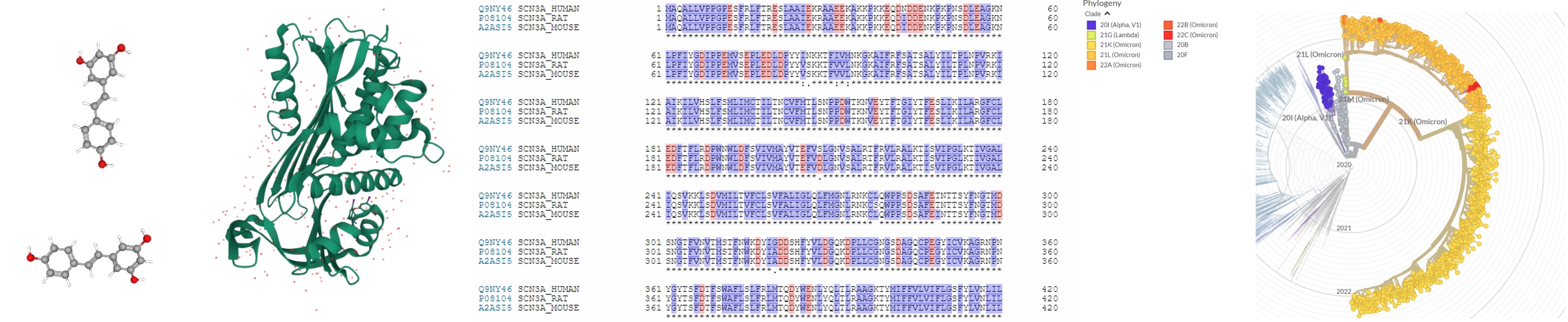 bioinfo p3